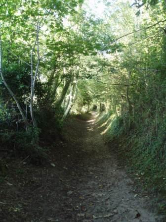 A path to Roman Camp