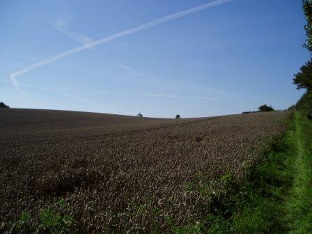 Field Between Mendham and Harleston with harvested crop