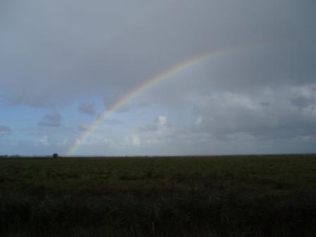 A rainbow over the marshes 