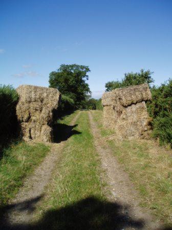 The Leaning Sentries 