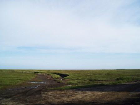 The Stiffkey Marshes 
