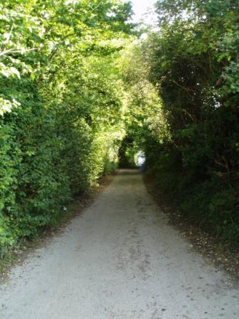 One of the tracks from Stiffkey